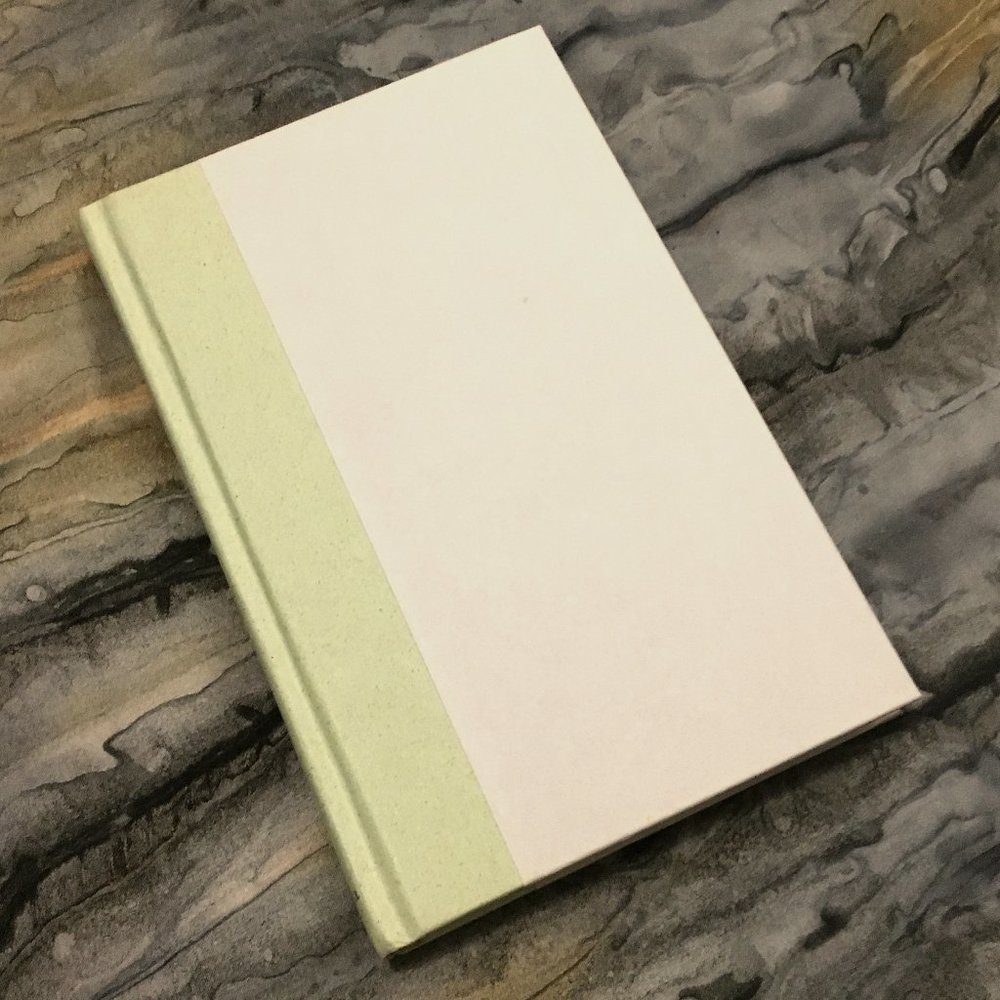 Beyond Love and Work Lenore Terr Hardcover Psychology Book Why Adults Need Play